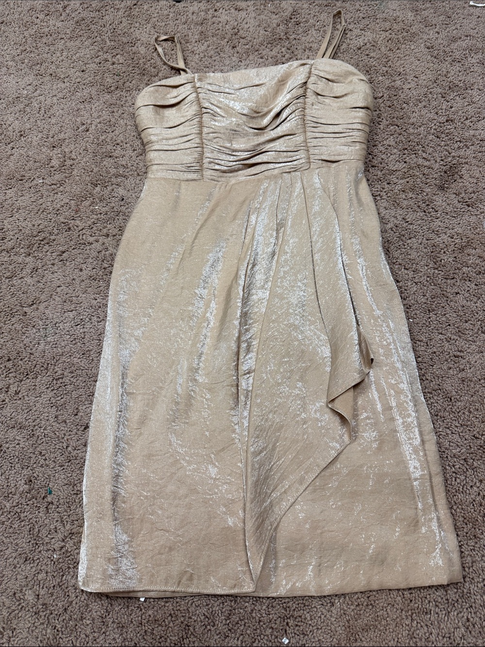 London Times Shimmery Champagne Ruched Bodice Dress